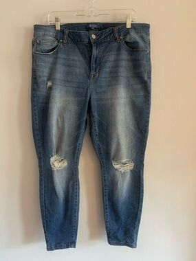 REVERY Plus Size Casual Distressed Boyfriend Jeans in Blue